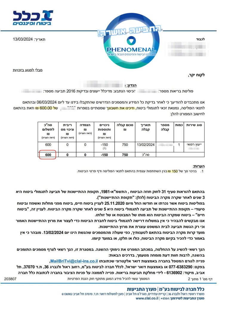 מזור חובב 2