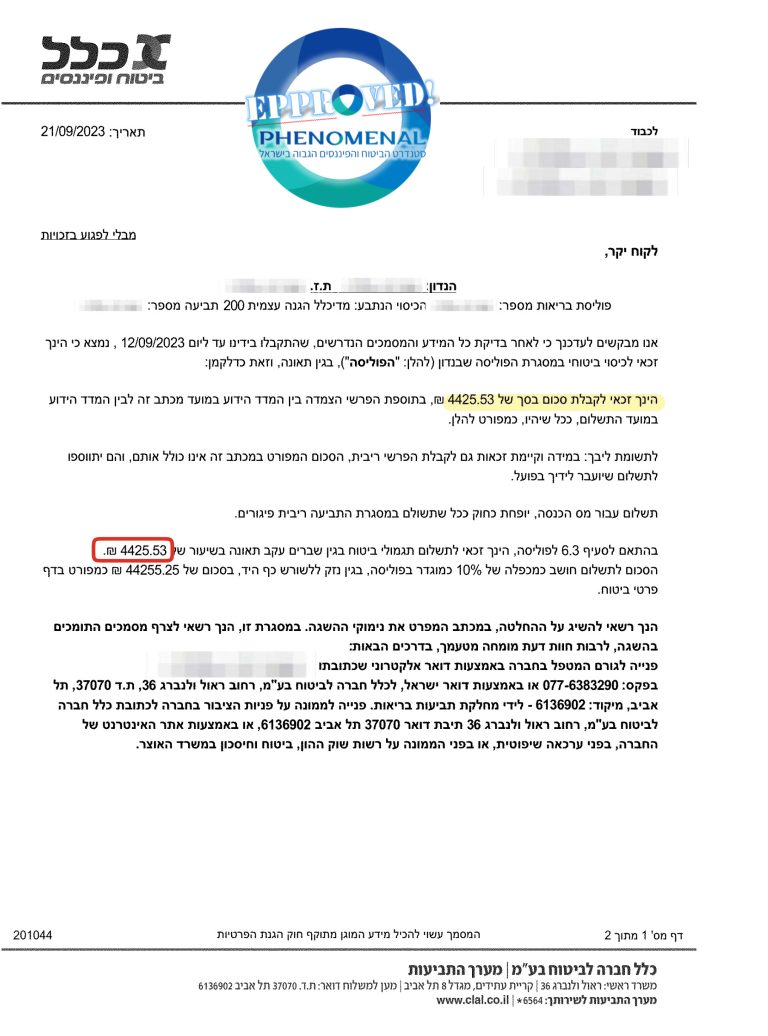 ניר הזיזה