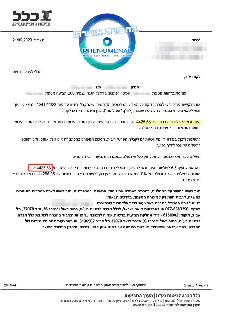__ניר הזיזה - עותק